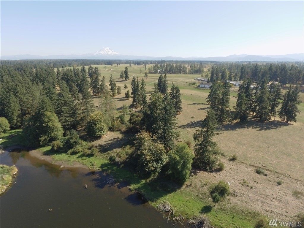 View from west side - site in the distance and Mt. Rainier